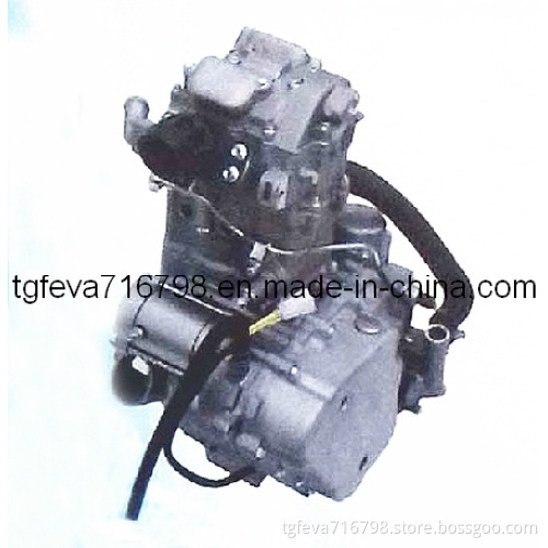 600cc Motorcycle Engine (GK194MS-3)